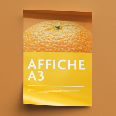 Affiche standard A3