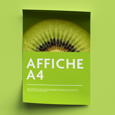 Affiche standard A4